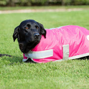 Waterproof Dog Coat - Raspberry