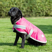Waterproof Dog Coat - Raspberry