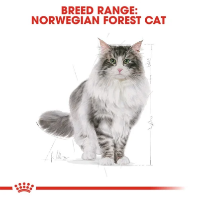 ROYAL CANIN® Norwegian Forest Adult Cat Food