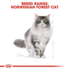 ROYAL CANIN® Norwegian Forest Adult Cat Food