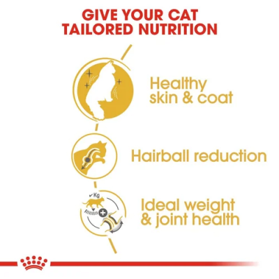 ROYAL CANIN® Norwegian Forest Adult Cat Food