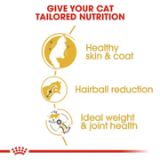 ROYAL CANIN® Norwegian Forest Adult Cat Food
