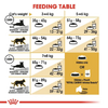 ROYAL CANIN® Norwegian Forest Adult Cat Food