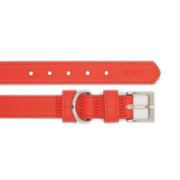 Ralph & Co Red Leather Dog Collar