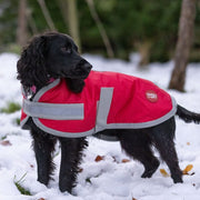 Waterproof Dog Coat - Red