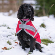 Waterproof Dog Coat - Red