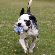 Rosewood Battersea Crinkle Butterfly Dog Toy