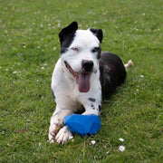 Rosewood Battersea Rubber Heart Treat Dog Toy