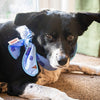 Rosewood Cooling Neckerchief