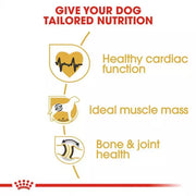 ROYAL CANIN® Rottweiler Adult Dog Food