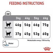 ROYAL CANIN® Dental Care Adult Dry Cat Food
