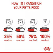 ROYAL CANIN® Dental Care Adult Dry Cat Food