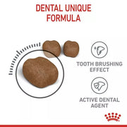ROYAL CANIN® Dental Care Adult Dry Cat Food