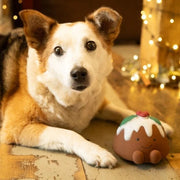 Petface Chrissie Christmas Pudding Latex Dog Toy