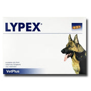LYPEX® Pancreatic Enzyme Capsules for Dogs and Cats - 60 Capsules