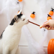 Rosewood Salmon & Pumpkin Sticks Cat Treats