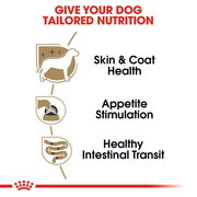 ROYAL CANIN® Yorkshire Terrier Adult Dog Wet Food