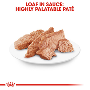 ROYAL CANIN® Poodle Adult Dog Food in Loaf