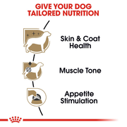 ROYAL CANIN® Poodle Adult Dog Food in Loaf