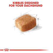 ROYAL CANIN® Dachshund Adult Dry Dog Food