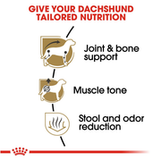 ROYAL CANIN® Dachshund Adult Dry Dog Food
