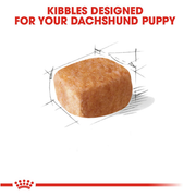 ROYAL CANIN® Dachshund Puppy Dry Dog Food