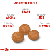 ROYAL CANIN® X-Small Adult 8+ Dry Dog Food