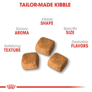 ROYAL CANIN® Persian Kitten Food