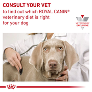 ROYAL CANIN® Gastrointestinal Dog Treats