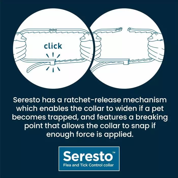 Seresto Flea and Tick Control Collar for Cats