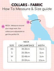 PupClub Collar - Pastel Mint