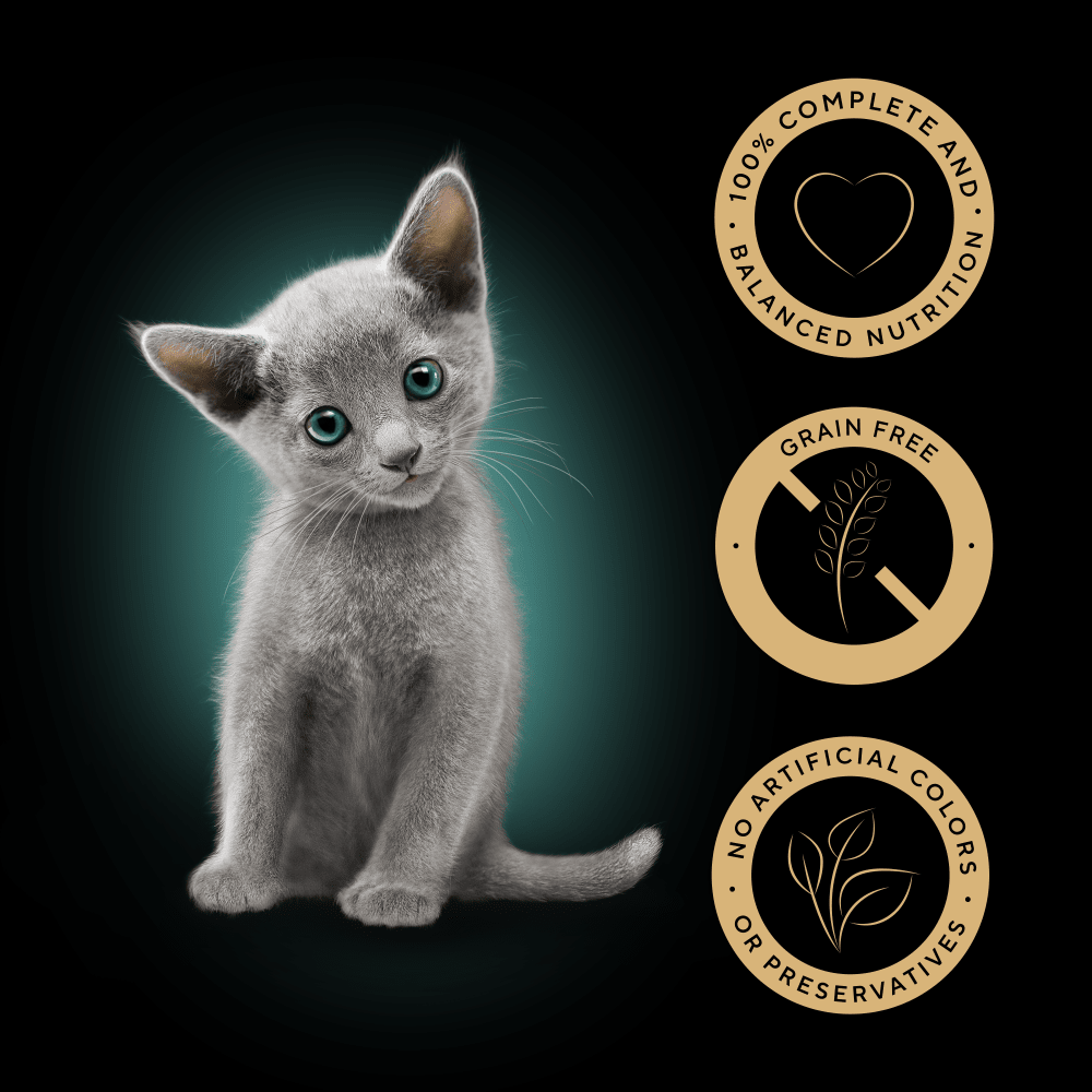 Sheba Sauce Collection Kitten Mixed Gravy 40x85g