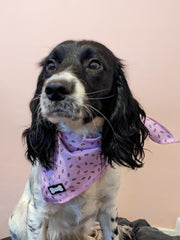 Sprinkles For Days Cooling Bandana - Pink