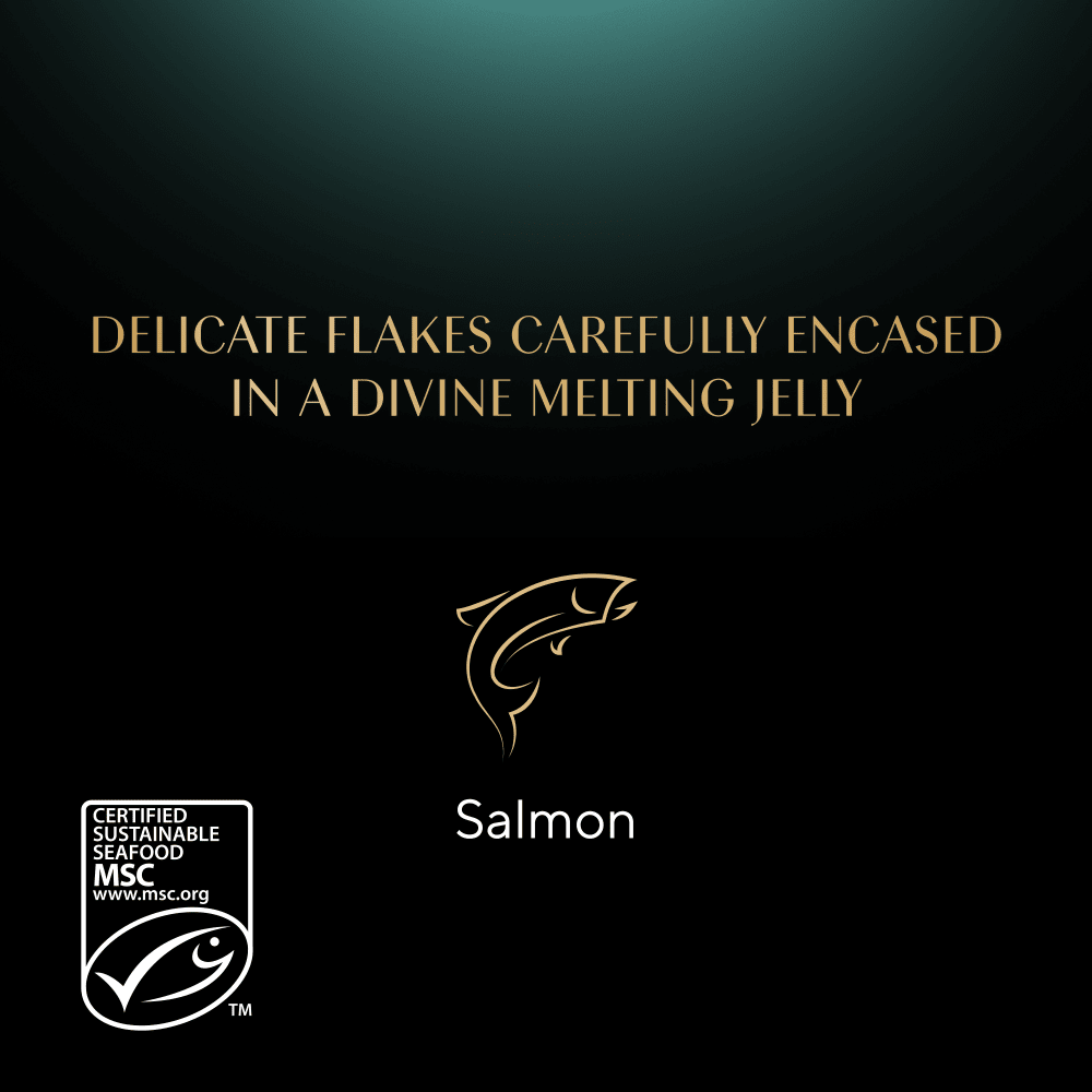 Sheba Fine Flakes Tray Salmon in Jelly 22x85g