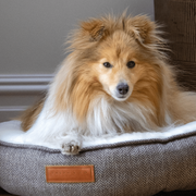 Ralph & Co Lincoln Luxury Donut Bed