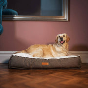 Ralph & Co Lincoln Luxury Pillow Bed