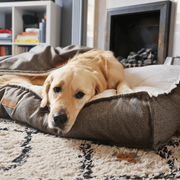 Ralph & Co Lincoln Luxury Pillow Bed