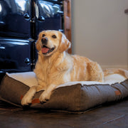Ralph & Co Lincoln Luxury Pillow Bed