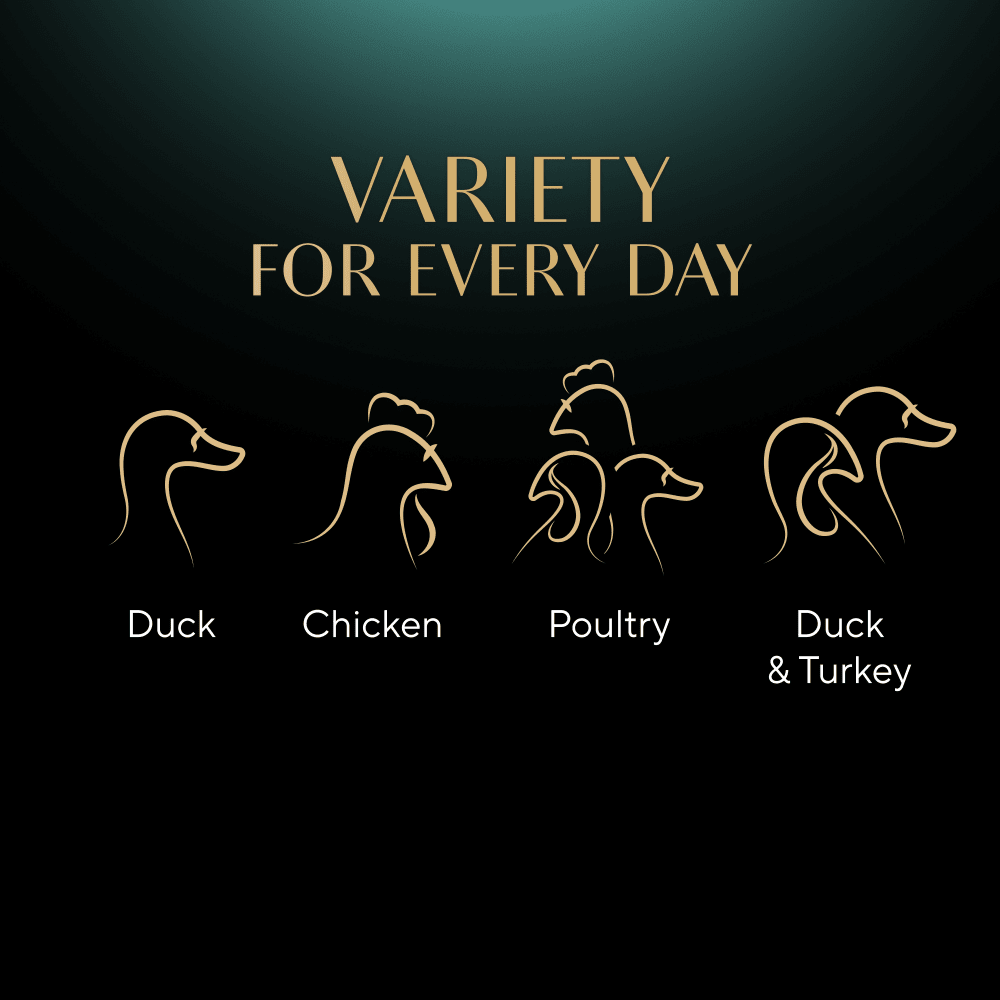 Sheba Select Slices Poultry Collection in Gravy