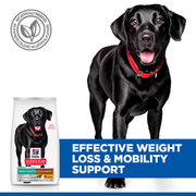 Hill's Science Plan Perfect Weight & Active Mobility Large Adult Dry Dog Food 12kg