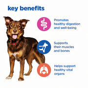 Hill's Vet Essentials Multi-Benefit Adult Medium Dry Dog Food