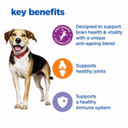 Hill's Vet Essentials Multi-Benefit + Senior Health Mature Adult Medium & Large Dry Dog Food
