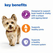 Hill's Vet Essentials Multi-Benefit + Senior Health Mature Adult Small & Mini Dry Dog Food
