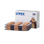 LYPEX® Pancreatic Enzyme Capsules for Dogs and Cats - 60 Capsules