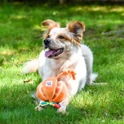Happy Pet Very Hungry Caterpillar Rope Tug Dog Toy