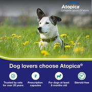 Elanco Atopica Capsules for Dogs