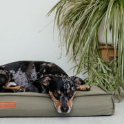Ralph & Co Henley Waterproof & Memory Foam Dog Bed With Removable Covers