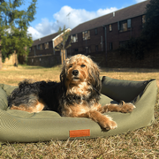 Ralph & Co Henley Luxury Waterproof Bolster Bed