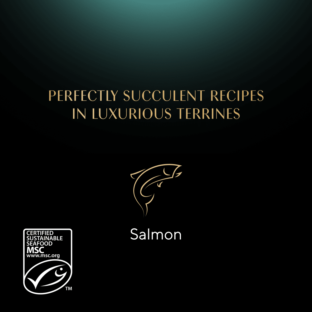 Sheba Classics Tray Salmon in Terrine 22x85g