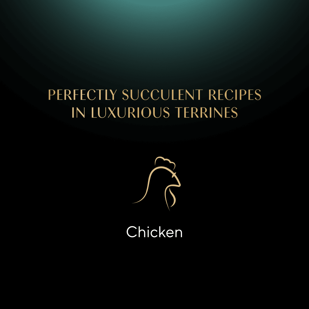 Sheba Classics Tray Chicken Terrine 22x85g